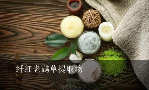 纤细老鹤草的护肤功效与作用,纤细老鹤草提取物是什么成分