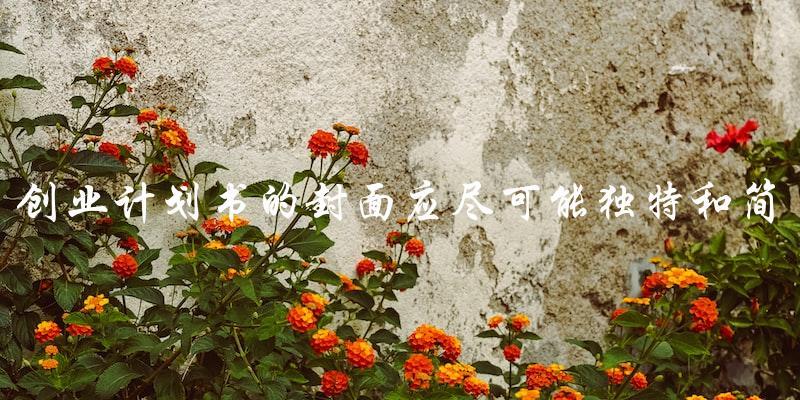 如何让创业计划书封面独特简明？