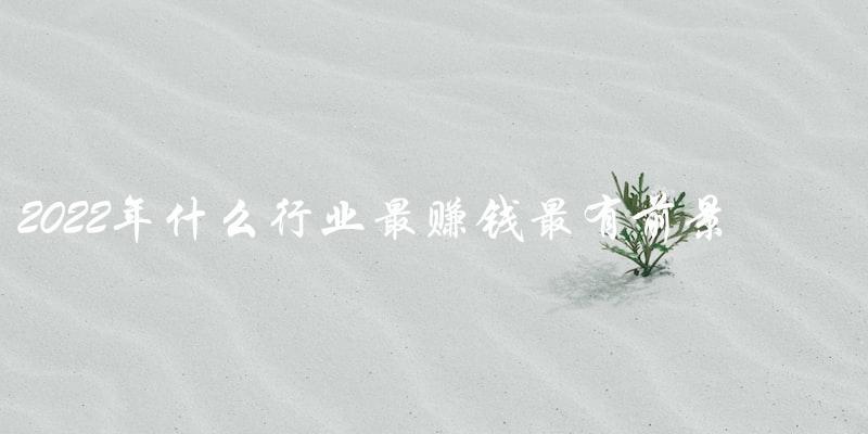 2022年哪个行业最有前景和最赚钱？