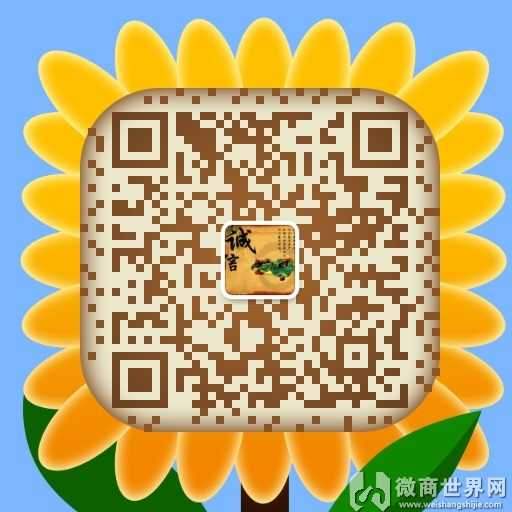 25个袜子微商一手货源-微商袜子厂家一手代理货源