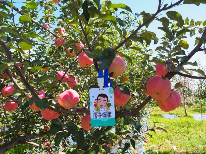 房子优果怎么提成？有知道内幕的吗！